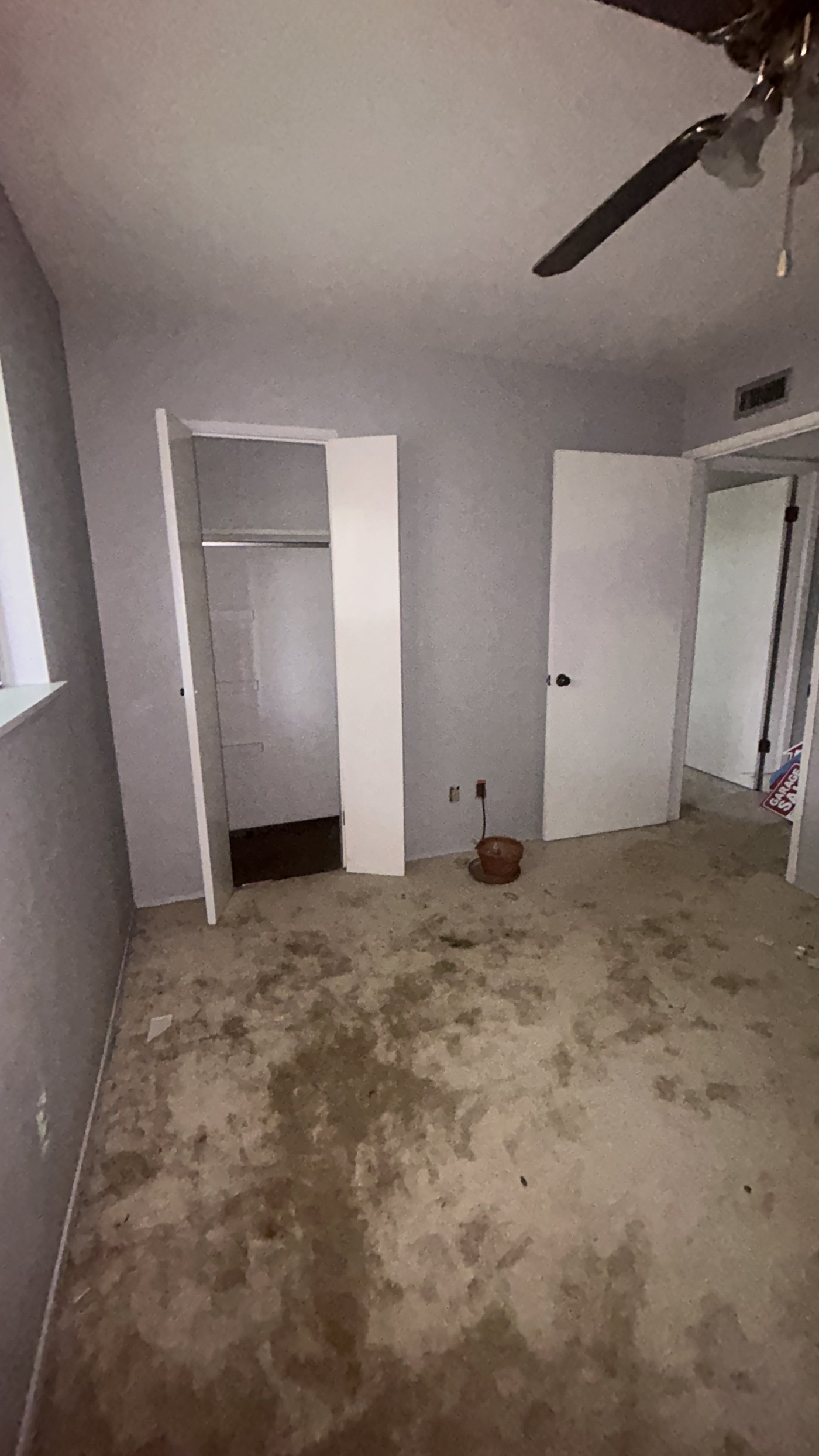 IMG 0479