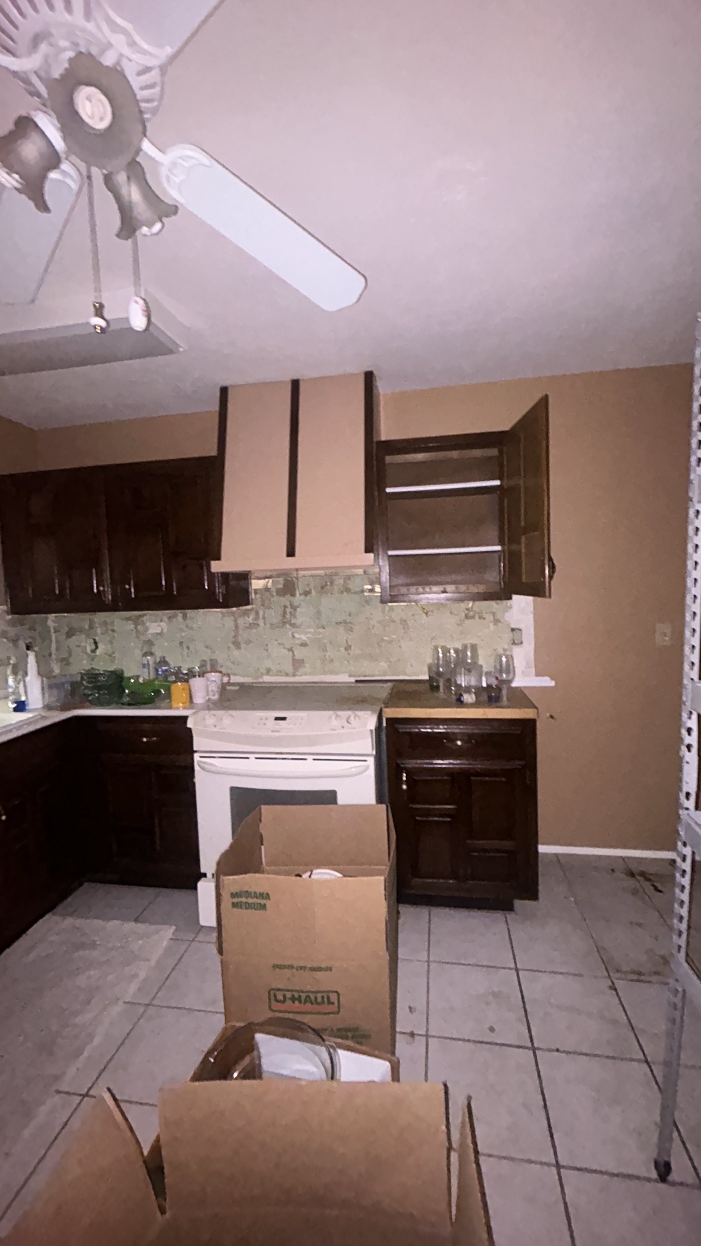 IMG 0482