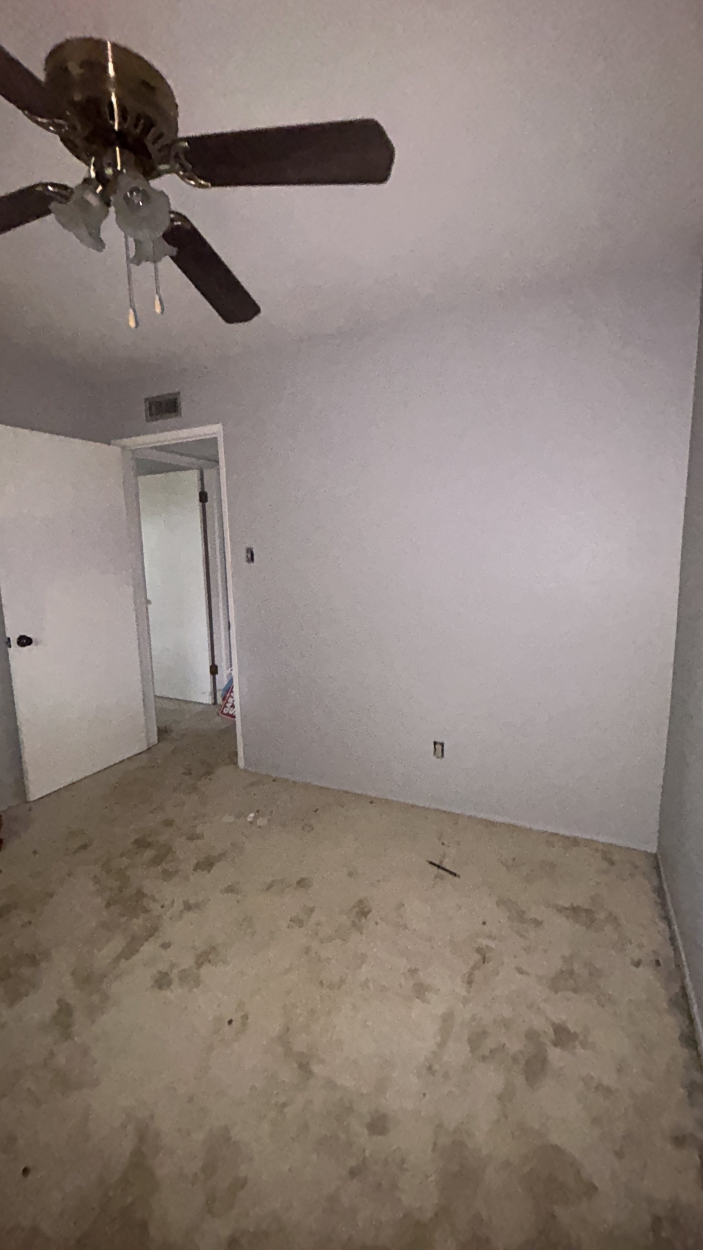 IMG 0480