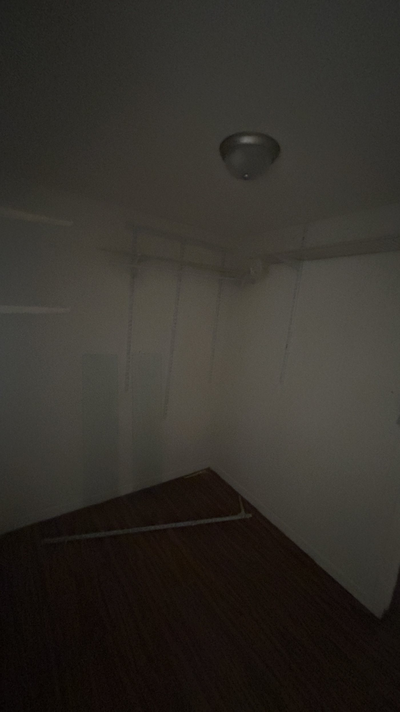IMG 1051